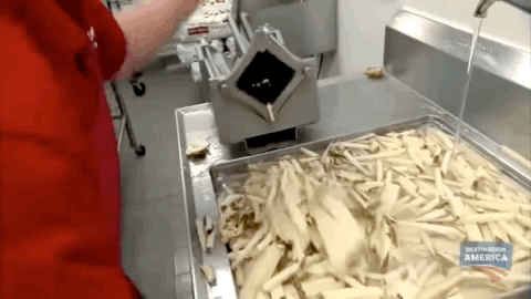 The Best Fast Food Restaurant French Fries (15 gifs)