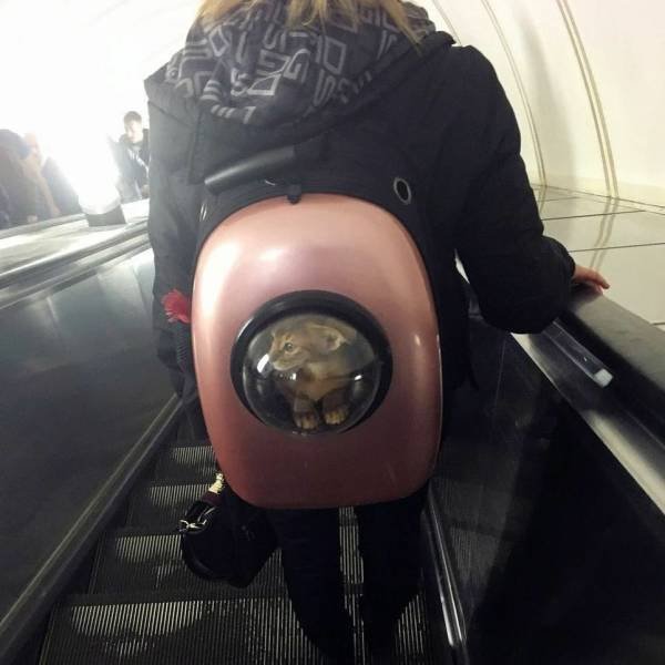 Acid Picdump 1 (84 pics)