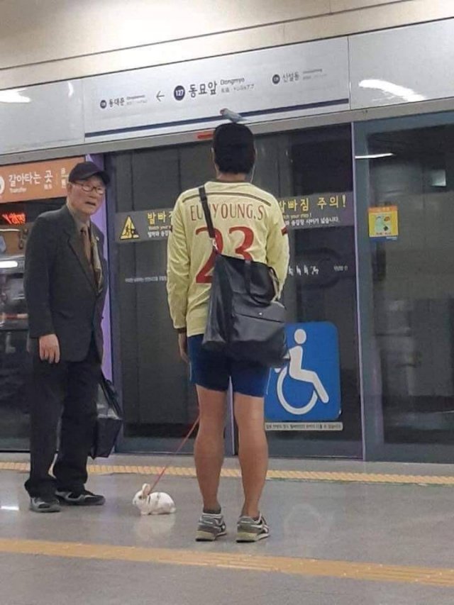 Acid Picdump 1 (84 pics)