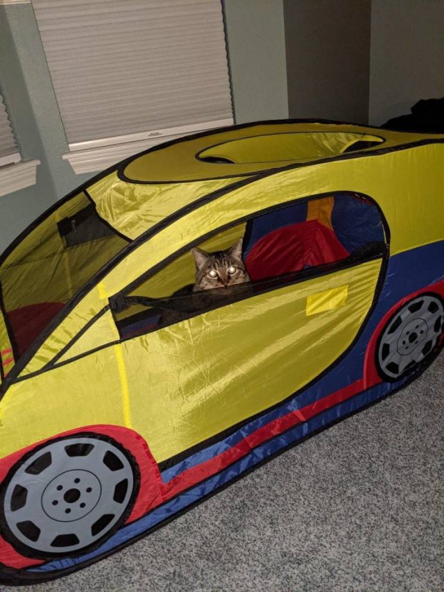Acid Picdump 1 (84 pics)