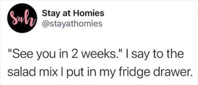 Funny Tweets (24 pics)