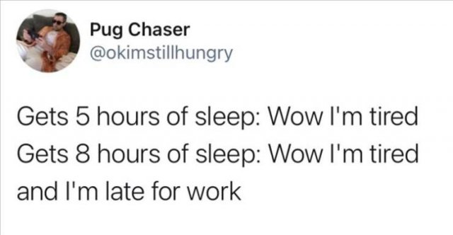 Funny Tweets (24 pics)