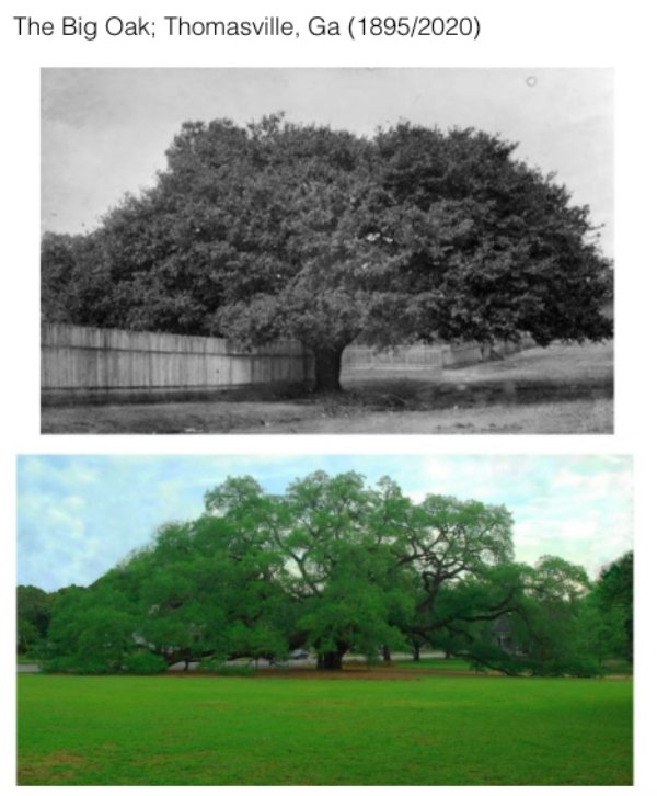 World Changes Throughout History (26 pics)