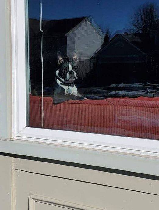 Acid Picdump 1 (93 pics)