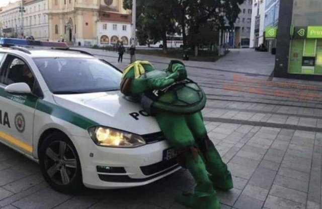 Acid Picdump 2 (88 pics)