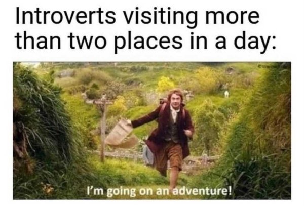 Introvert Memes (33 pics)