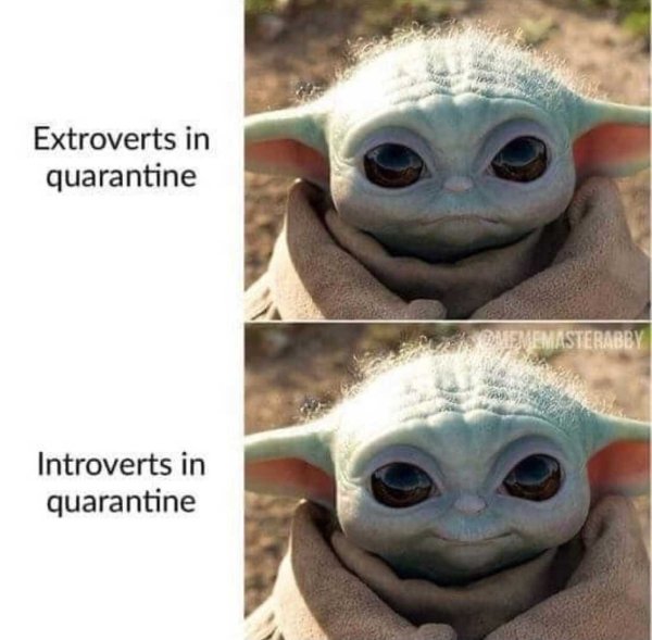 Introvert Memes (33 pics)
