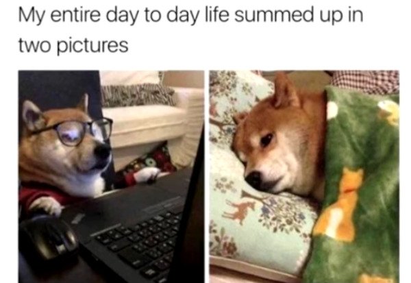Memes For Single People (33 pics)