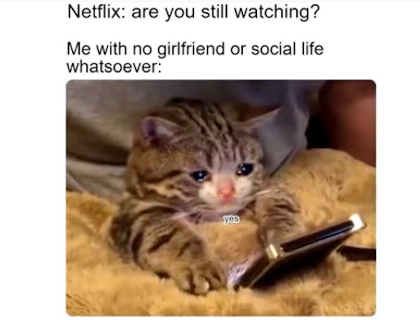 Memes For Single People (33 pics)