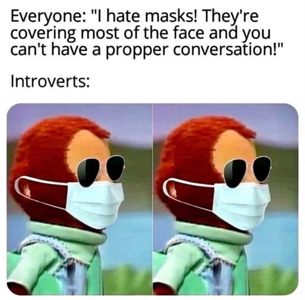 Introvert Memes (33 pics)