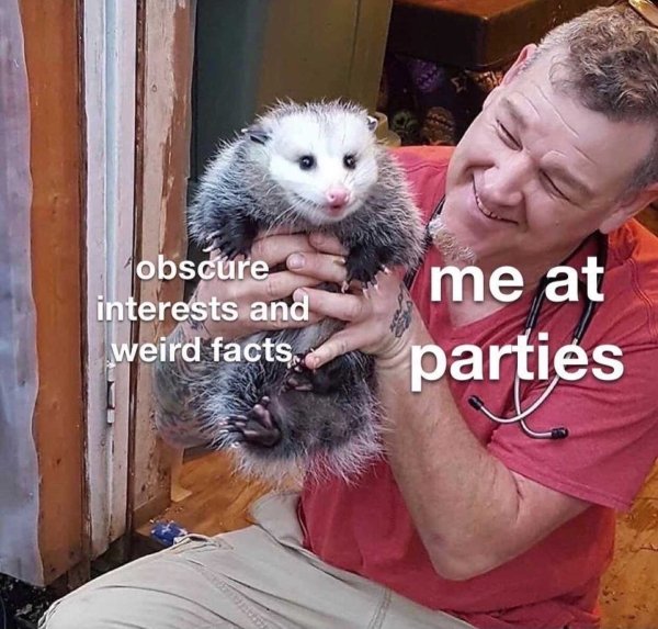 Introvert Memes (33 pics)