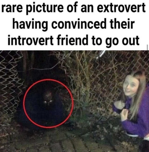 Introvert Memes (33 pics)