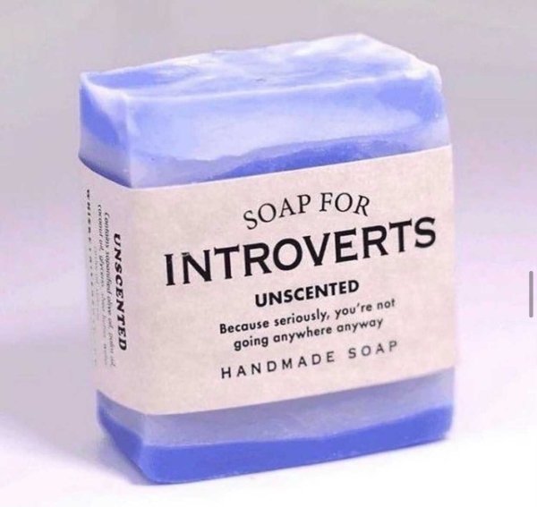 Introvert Memes (33 pics)