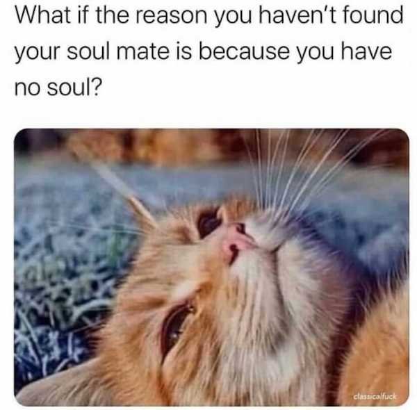 Memes For Single People (33 pics)