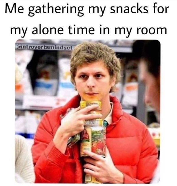 Introvert Memes (33 pics)