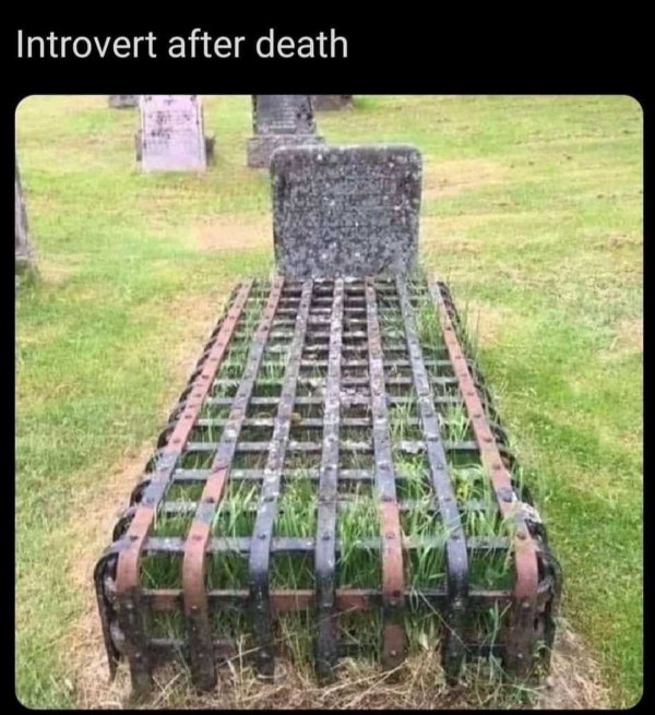 Introvert Memes (33 pics)