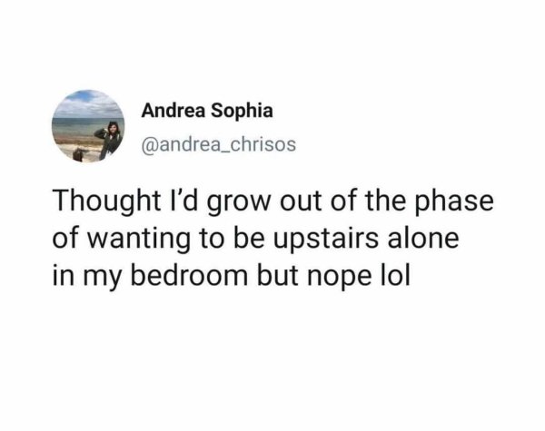 Introvert Memes (33 pics)