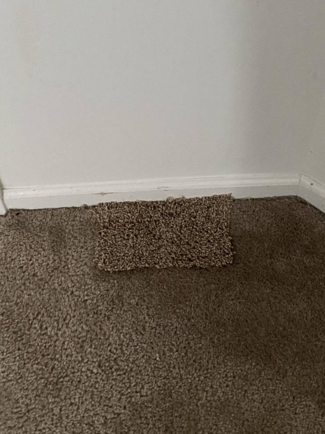 Weird Landlords (21 pics)
