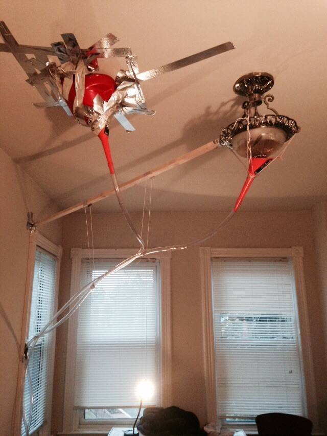 Weird Landlords (21 pics)