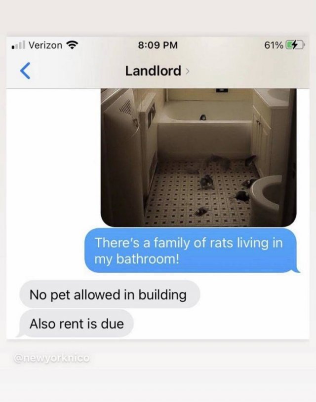Weird Landlords (21 pics)