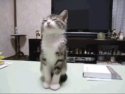 Acid Gifdump, March 1 (25 gifs)