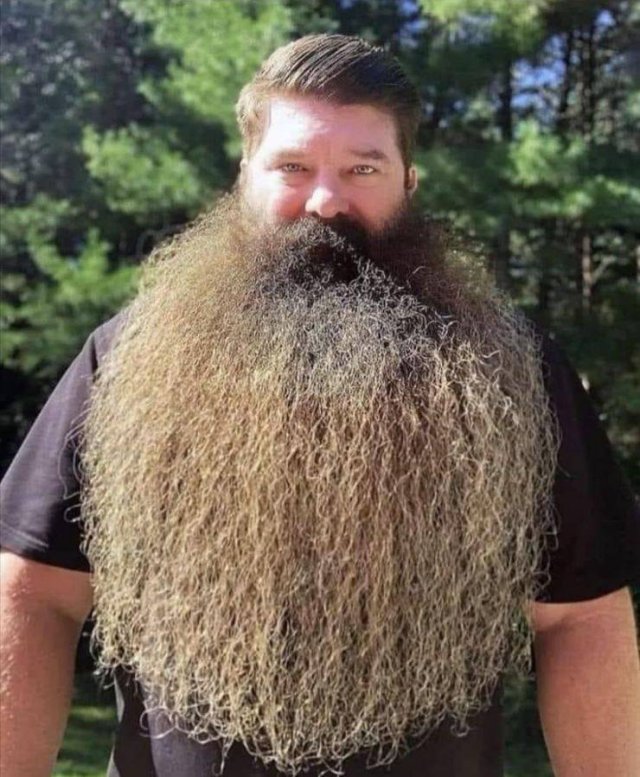 Acid Picdump 1 (93 pics)
