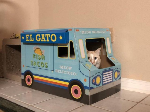 Acid Picdump 1 (93 pics)