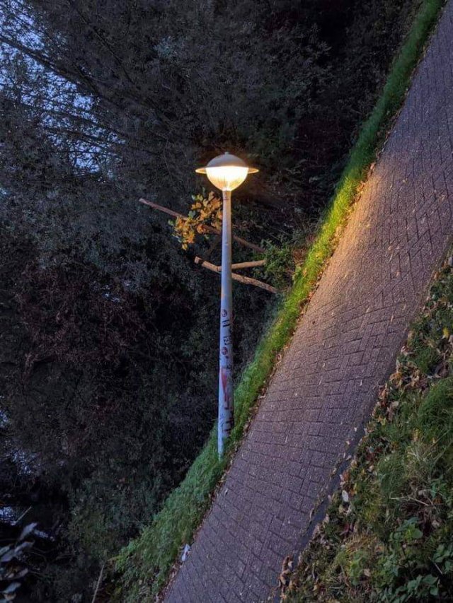 Acid Picdump 1 (93 pics)