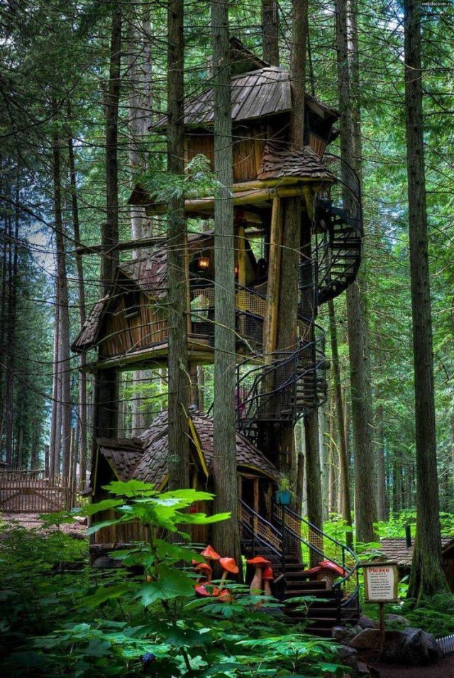 Acid Picdump 1 (93 pics)