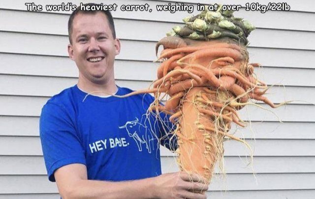 Acid Picdump 1 (93 pics)