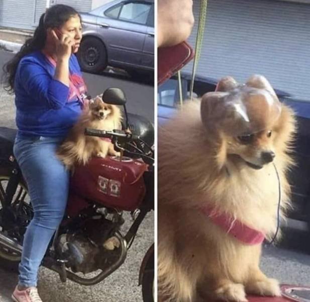 Acid Picdump 1 (93 pics)