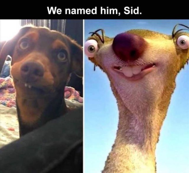 Random Funny Memes (132 pics)