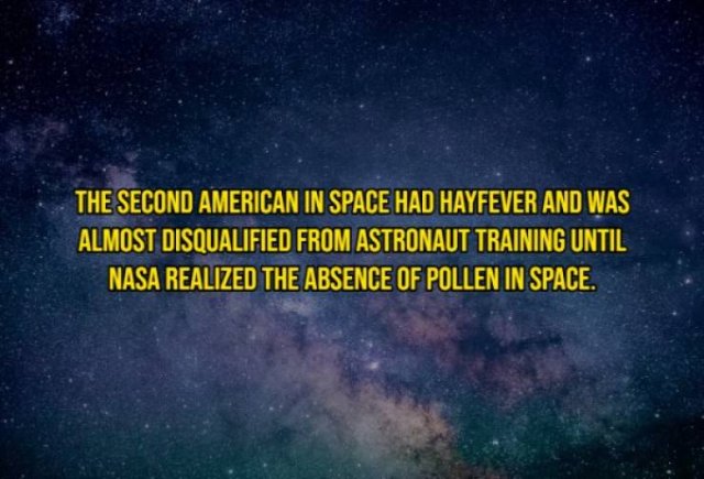 Intriguing Facts (20 pics)