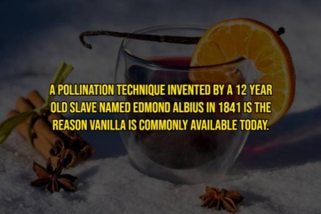 Intriguing Facts (20 pics)