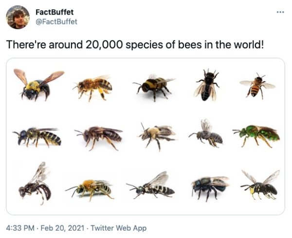 Interesting Facts (27 pics)
