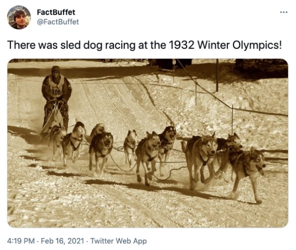 Interesting Facts (27 pics)