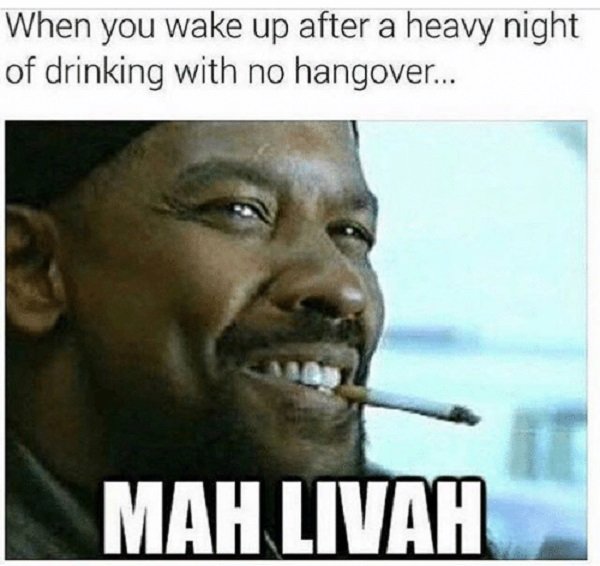 Alcohol Memes (37 pics)