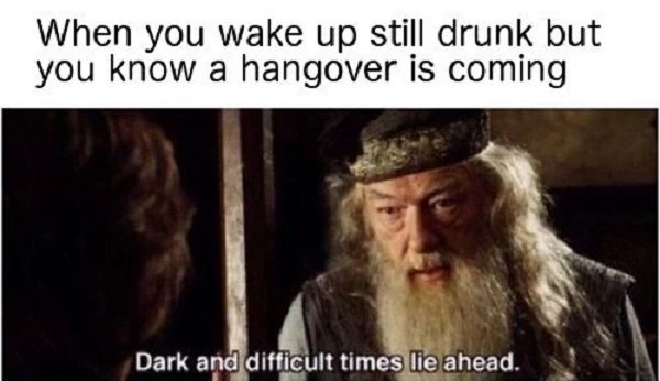 Alcohol Memes (37 pics)