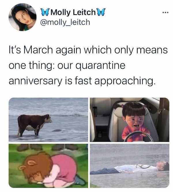 March Memes (32 pics)