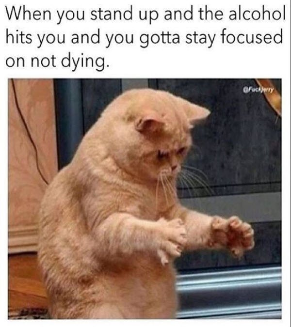 Alcohol Memes (37 pics)