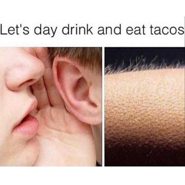 Alcohol Memes (37 pics)