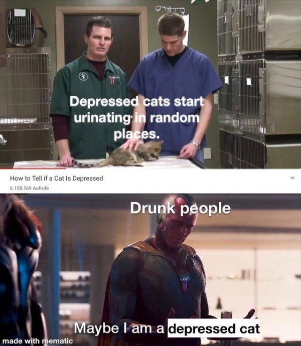 Alcohol Memes (37 pics)
