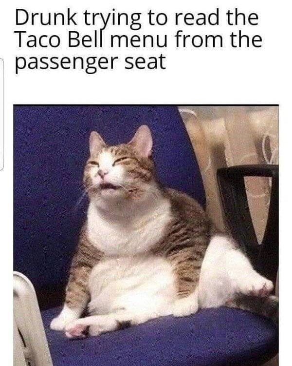 Alcohol Memes (37 pics)