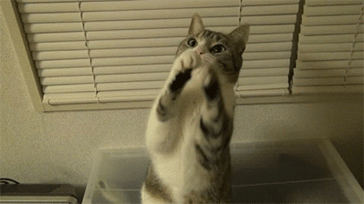 Acid Gifdump, March 2 (25 gifs)