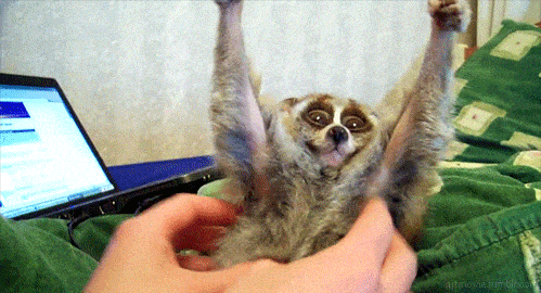 Acid Gifdump, March 2 (25 gifs)