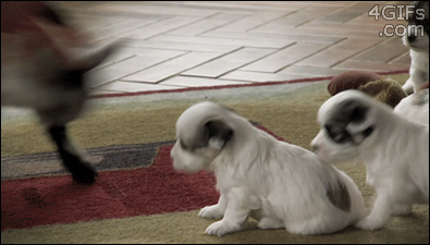 Acid Gifdump, March 2 (25 gifs)