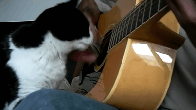 Acid Gifdump, March 2 (25 gifs)