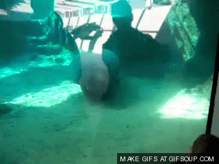 Acid Gifdump, March 2 (25 gifs)