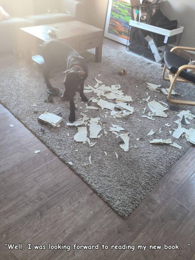 Bad Days Happen (42 pics)