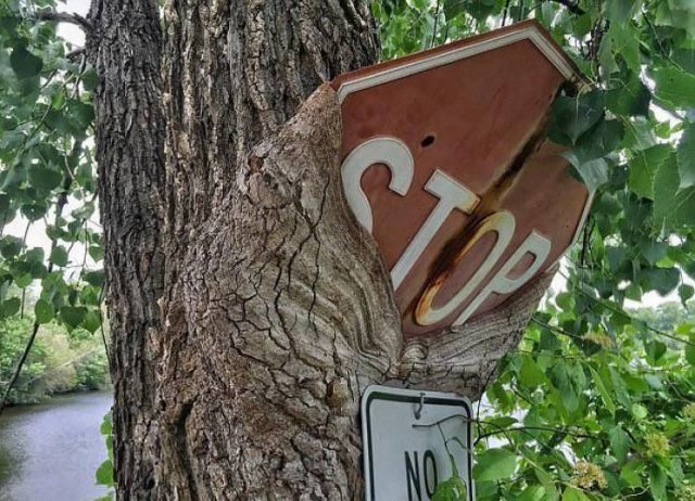 Acid Picdump 1 (84 pics)